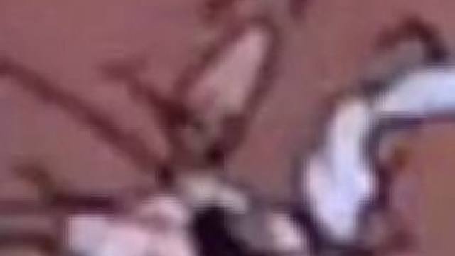 小人鱼这次真的伤心了 #配音 #推文 #小说