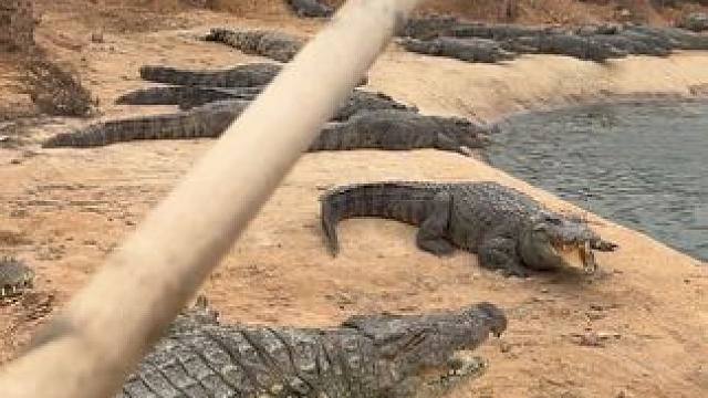 遇到犟种不要怕，干就完了#非专业人士请勿模仿