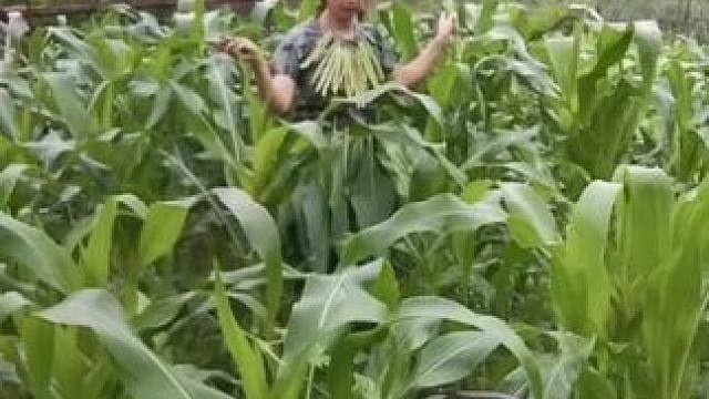 我发布了一个新视频，快来围观吧！