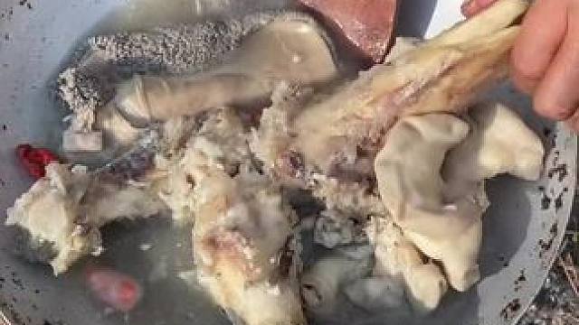 哈哈非洲嘟嘟来了 #我的乡村生活 #原创视频 #户外烧烤野炊 #日常生活 #农村生活美食