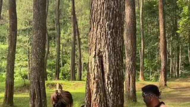 哈哈嘟嘟来了 #外国人真会玩 #走进非洲 #老外真会玩 #户外游玩 #美景美景