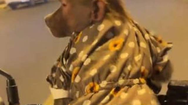 带宠物狒狒户外兜风 #国外视频分享 #奇妙的动物 #宠物