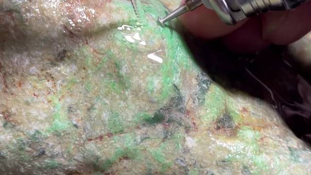 木纳，5.5公斤，大家猜猜是涨还是夸