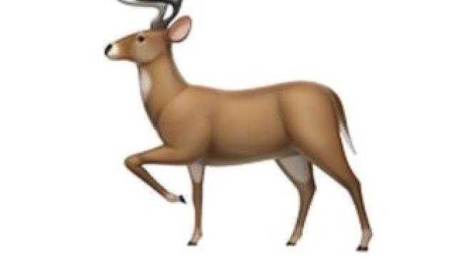 起飞喽~#男生 #自媒体 #逆天