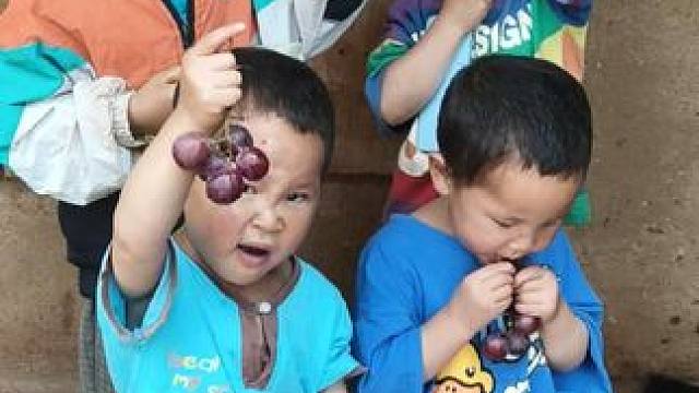 四个孩子喜欢吃葡萄。#农村娃