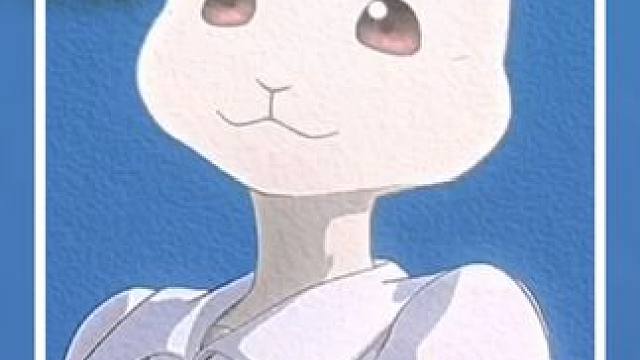 跨越种族的爱情，狼爱上了免子 #动物狂想曲 #动漫推荐 #每周B看