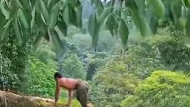 人类面对大自然究竟有多渺小？ #巴拉那松子 #巴拉那松