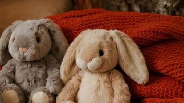 暴风雪夜的树洞小窝，聆听着怒吼的风雪，安心入眠 #助眠视频 #解压助眠 #白噪音 #睡个好觉 #温馨