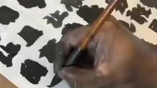 我发布了一个新视频，快来围观吧！