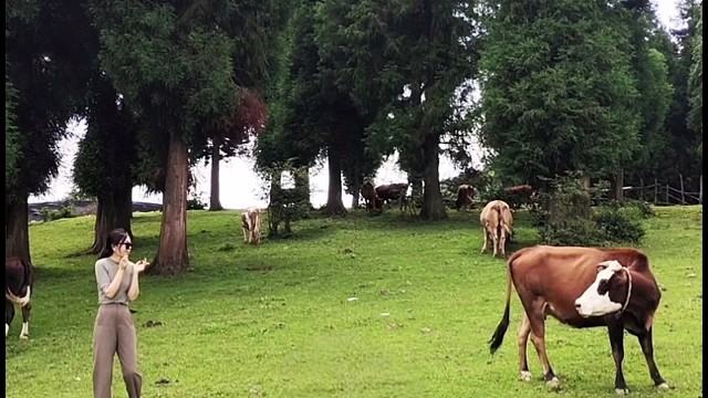 重庆平替版的新疆阿勒泰，武隆星空露营基地