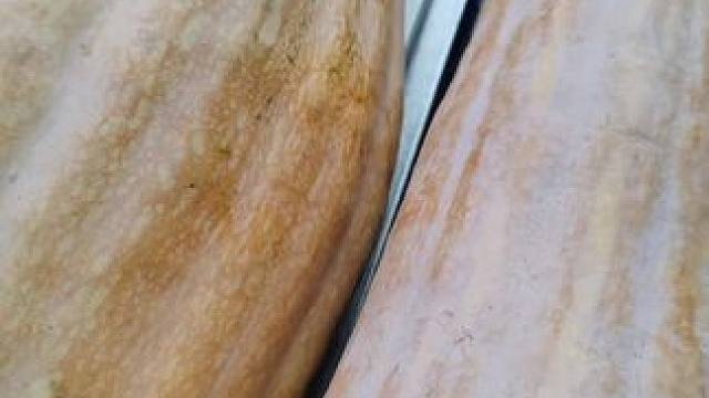 家里有吃不完的南瓜，制作小零食软软糯糯，无糖南瓜干