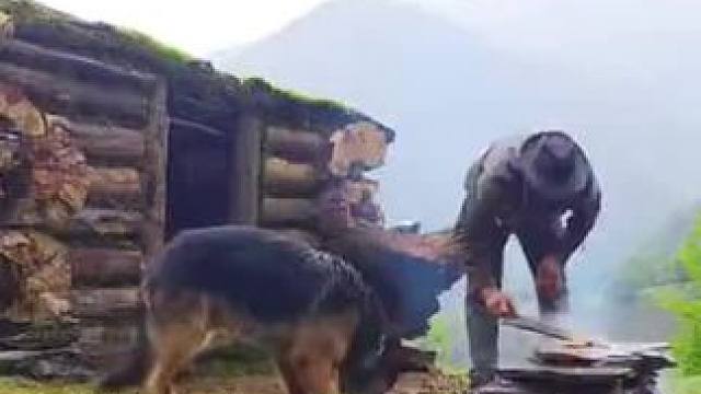 #荒野生存 #荒野求生 #大山里的生活 #野外生活