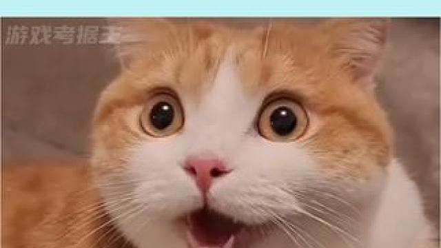 这箱子是什么？ #深度 #绘本