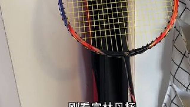 原来我早就有冠军同款球拍了！#林丹杯 #赵俊鹏 #狂徒700