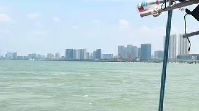 牛肉丸用这么聊吗？ #大崔溯源#买买买