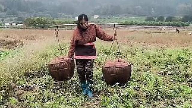 山卡卡里的农村大姐学费了开直播每天收获满满您还在恐播怕播不敢开播开播了不知说什么吗#记录真实生活 #