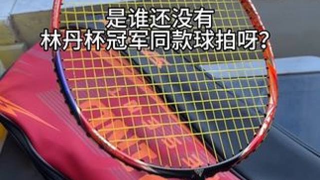 没想到林丹杯冠军用的球拍和我一样！#林丹杯 #赵俊鹏 #浦锐狂徒700