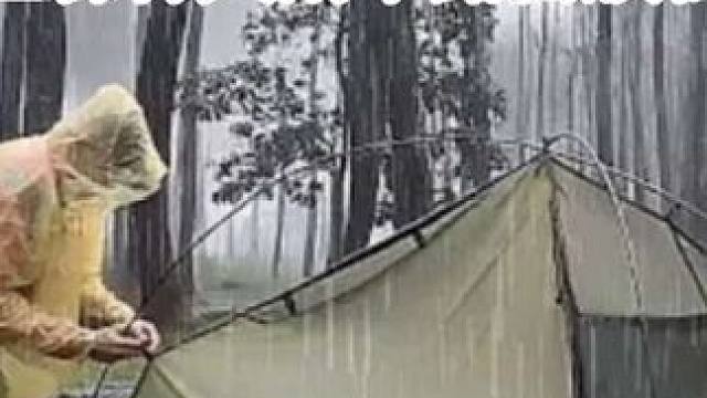 森林下起了倾盆大雨⛈️在暴雨和雷雨中独自露营，雨声令人放松。#户外露营 #雨中露营 #野外露营 #启