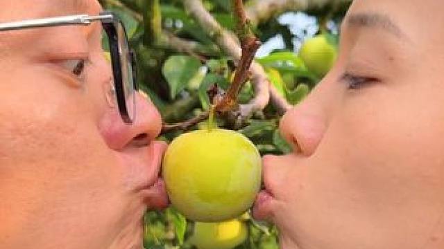 来看看桃花冰糖李的鱼眼效果 #冰糖李