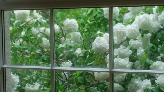 走走停停，或南或北