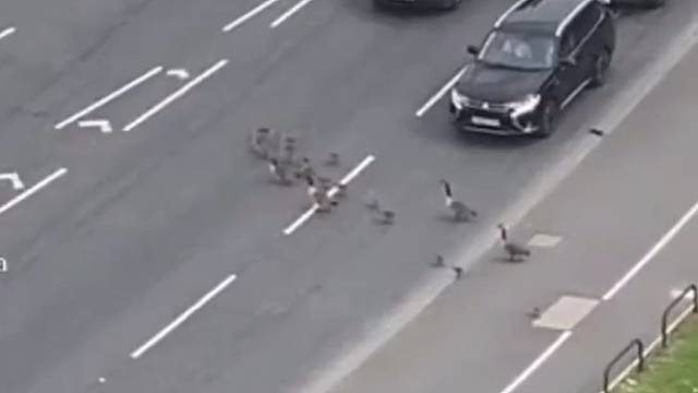 暖心的一幕，世界本该是这样的