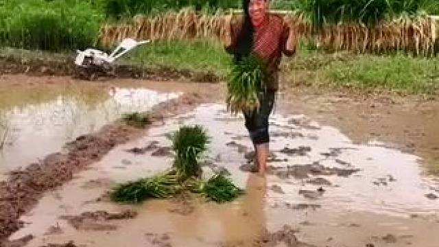 山卡卡里的农村大姐学费开直播每天收获满满您还在恐播怕播不敢开播开播了不知说什么吗#记录真实生活 #农