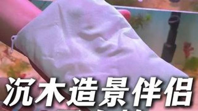 沉木造景虽然好看，但容易黄水，搭配蛋白棉使用，就能恢复水质。 #蛋白棉 #沉木造景 #鱼缸水质 #鱼