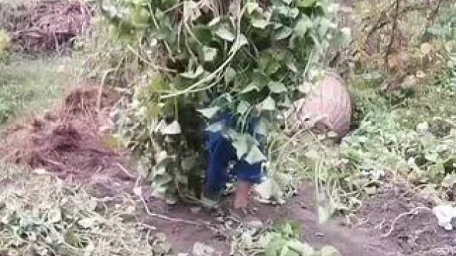 山卡卡里的农村大姐学费了开直播每天收获满满悠还在恐播怕播不敢开播开播了不知说什么吗#记录真实生活 #