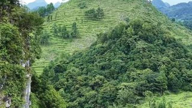 广东阳山有座母亲山，其形维妙维肖堪称广东罕见，山顶还藏着数百年的废弃石头古堡。#旅行推荐官 #自然奇