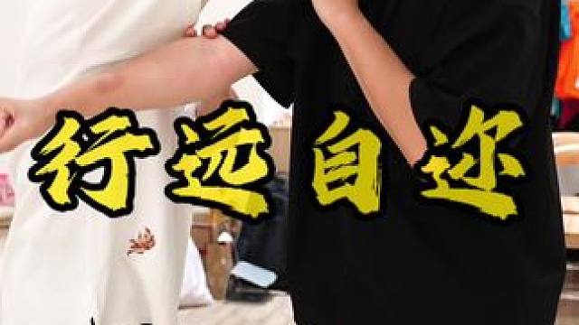 有体无用，弊在无变化；有用无体，弊在无根本 #太极 #螳螂拳 #功夫 #传统武术 #防身术