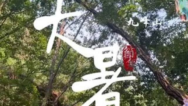 大暑，是夏天最后一个节气，时逢伏中，暑热正盈，快来九峰山避暑吧~#节气 #大暑 #避暑 #养在九峰山