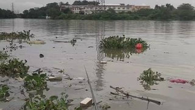 贤鲁岛野钓被垃圾围攻 口太好了，没法钓