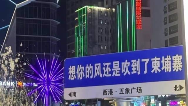 我在柬埔寨很想你