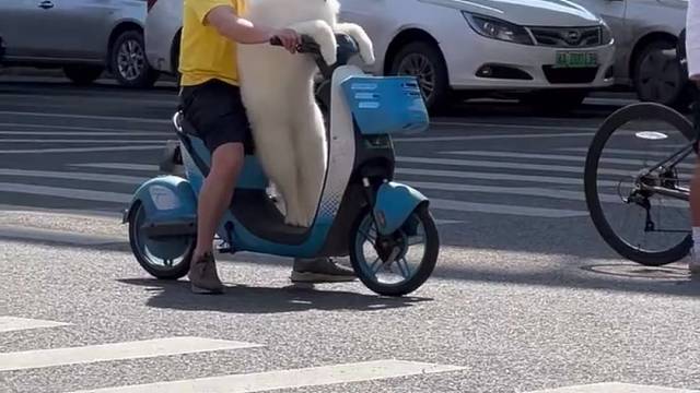 呼吁大家，骑电动一定要戴头盔哦