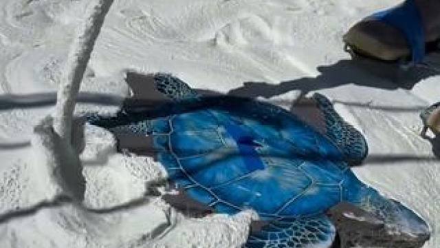 美国富豪家庭的泳池打造！ #泳池 #美国生活 #极度舒适 #庭院设计 #泳池别墅