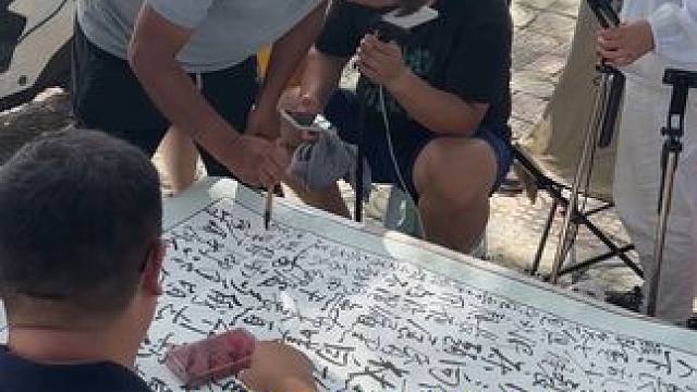 大师遇到狠人了，让写这么多字， #高手在民间 #男人的快乐就是这么简