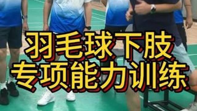 羽毛球下肢专项能力训练 #羽毛球体适能 #羽毛球教练技能 #王新星教学训练工作坊