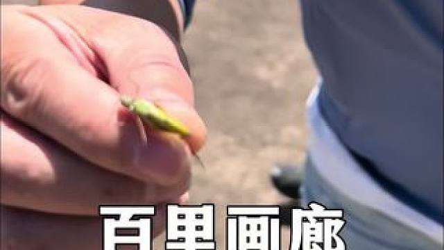 百里画廊，唐布拉草原 #鳄珍 #鳄鱼皮具 #鳄鱼养殖场