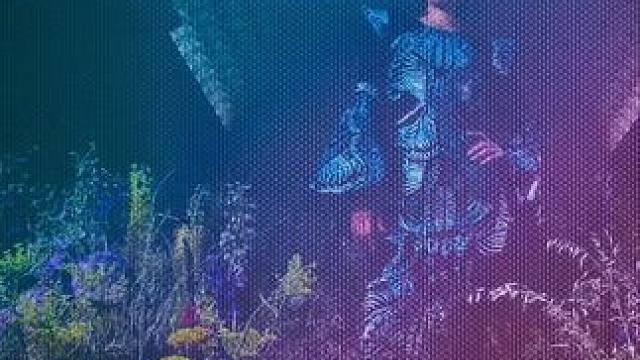 #iPhone14Pro#iPhone11 更好体验。