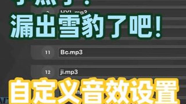 如何自定义音效，小黑子，漏出雪豹了吧！ #火炬之光无限 #火炬之光无限ss9赛季 #娱乐 #教程 #