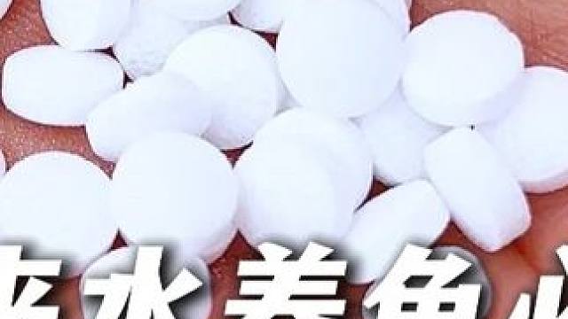 这个鱼乐宝可以去除鱼缸里的余氯，适合习惯用自来水养鱼的鱼友！ #鱼乐宝 #自来水养鱼 #新手养鱼 #