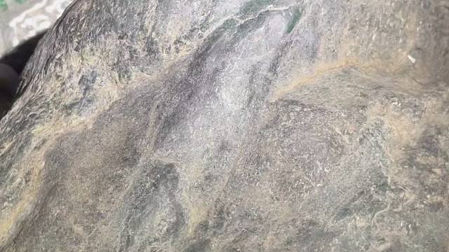 莫湾基，大个头，一条大色带