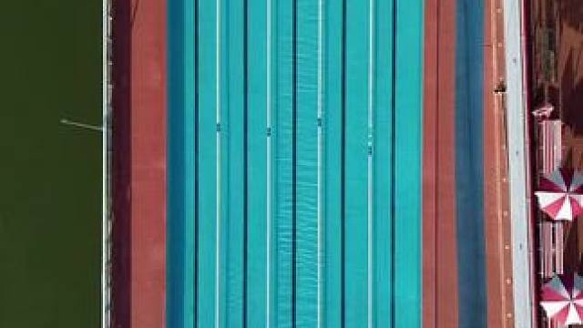 航拍视角欣赏自由泳动作，轻松又很走水！ #自由泳 #游泳训练 #游泳