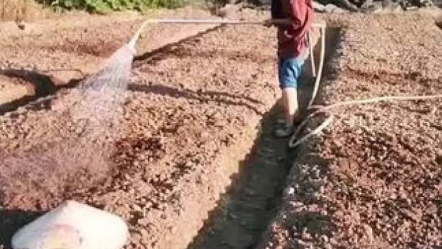 山卡卡里的农村大姐学费了开直播每天收获满满您还在恐播怕播不敢开播开播了不知说什么吗#记录真实生活 #