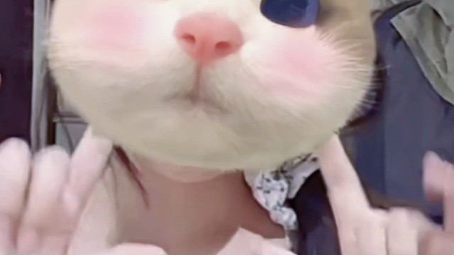 睡不着起来跳一个