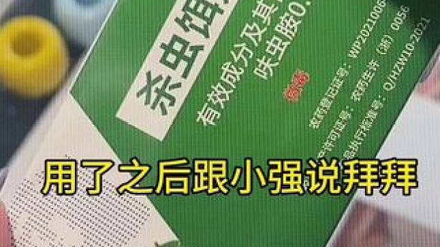 崛起了，跟小强说拜拜#日常小常识 #蟑螂药 #蟑螂胶饵 #蟑螂克星 #蟑螂一锅端