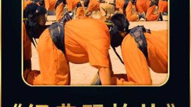 #dou来看好剧 #神奇的闲鱼 #闲鱼省钱神券 #每日推荐电影 #影视解说