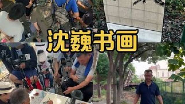 沈巍画了一匹马，马到成功，象征的力量 #沈巍 #高手在民间 #记录身边的传统文化 #