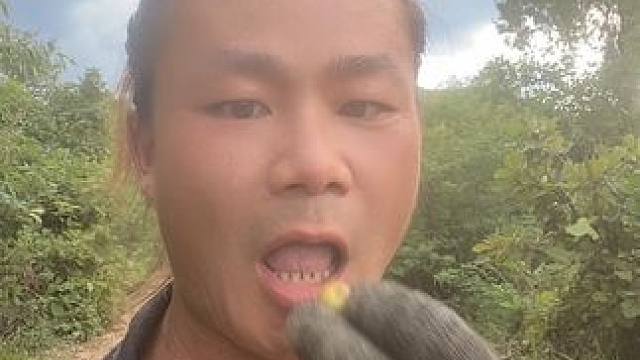 #大山里的味道 #大山里的生活 #大自然的馈赠