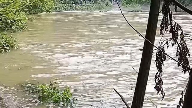 涨大水了  快来抓鱼